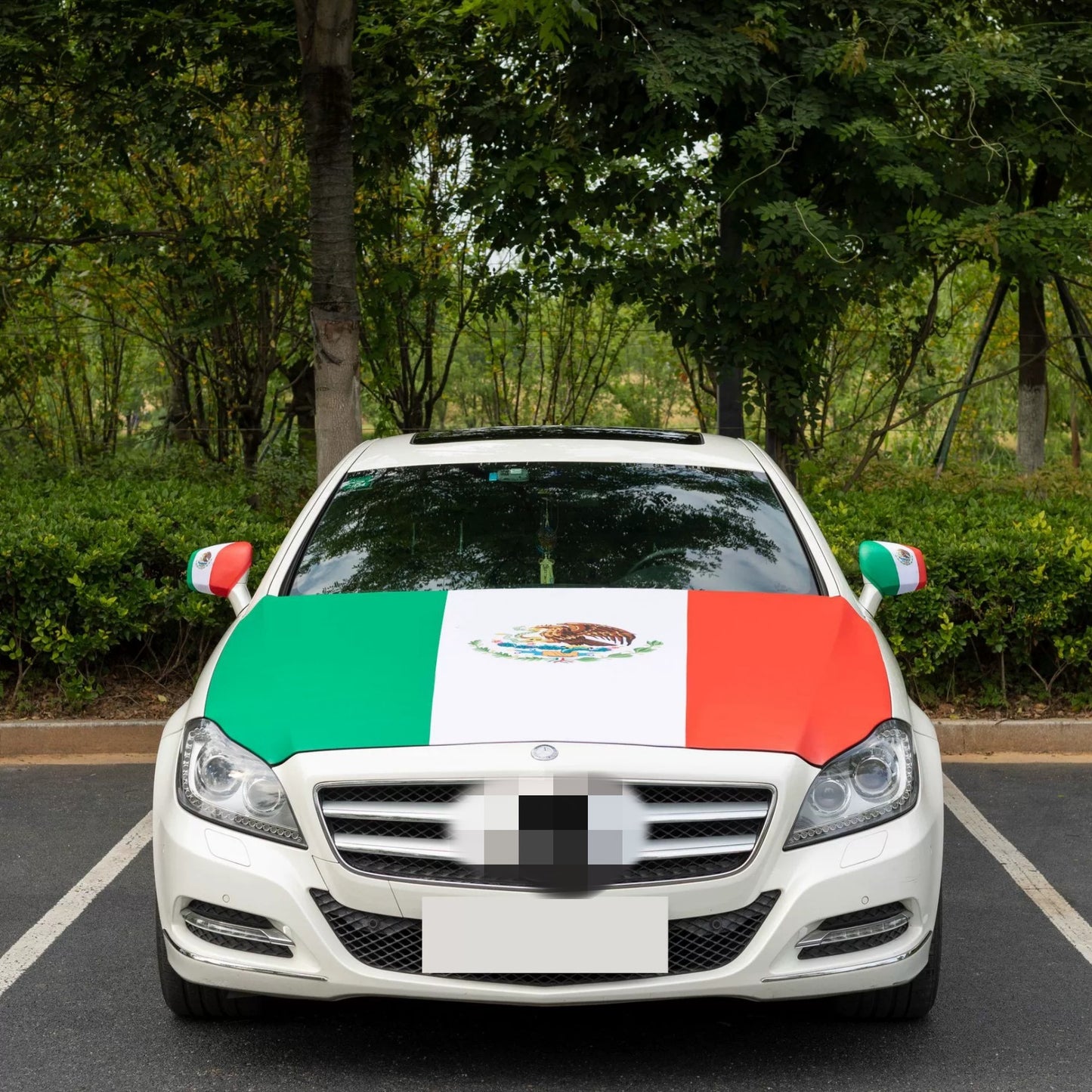 Custom Automotive Decoration Flag Car Cover for Cars